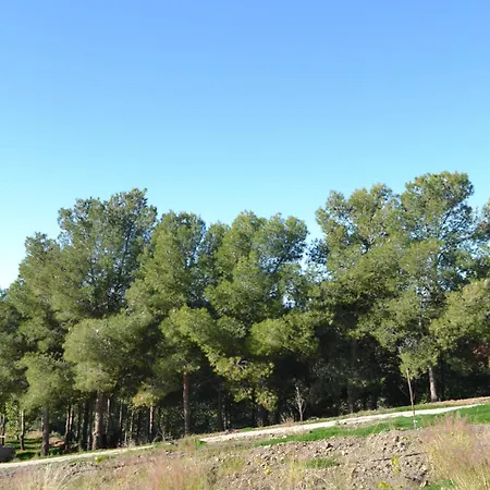Finca Diego Garcia - Studio Vue Mer Velez Malaga Exterior photo